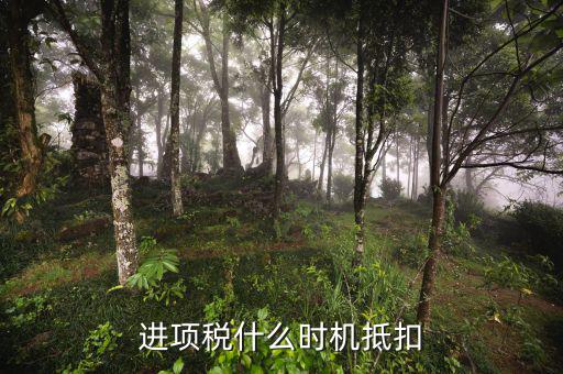 認證的進項稅什么時候抵扣，進項稅什么時機抵扣