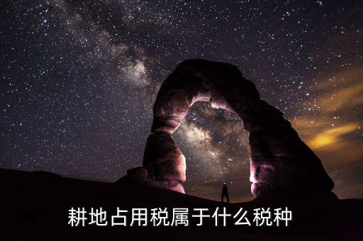 耕地占用稅屬于什么稅，耕地占用稅屬于什么稅種
