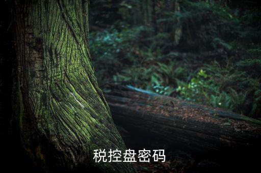 稅控盤證書密碼是什么意思，稅控盤上報匯總密碼是什么