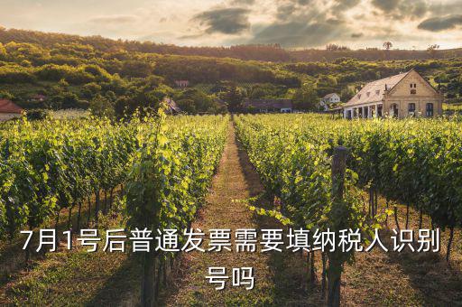 7月1號(hào)后發(fā)票內(nèi)容是什么意思，7月1號(hào)后普通發(fā)票需要填納稅人識(shí)別號(hào)嗎