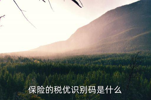 保險的稅優(yōu)識別碼是什么