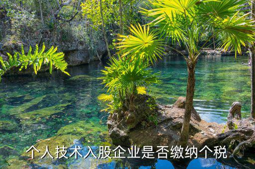 個(gè)人專利入股繳什么稅，請教稅法高手個(gè)人專利技術(shù)入股需繳稅嗎