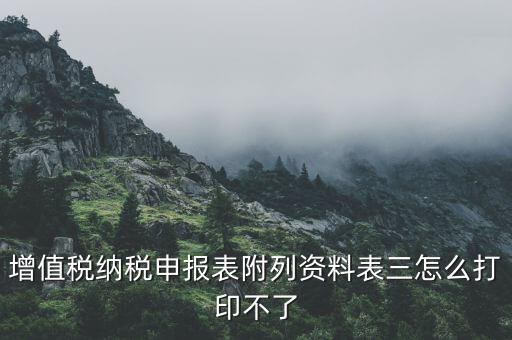 為什么打印不了附加稅申報表，納稅申報的報表打印不出來怎么辦