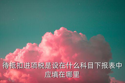 待抵扣進項稅入的是什么，待抵扣進項稅是設(shè)在什么科目下報表中應(yīng)填在哪里