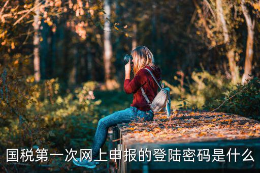 深圳網(wǎng)廳國(guó)稅登錄秘碼是什么意思，稅務(wù)局網(wǎng)站的登入賬戶初始密碼是什么
