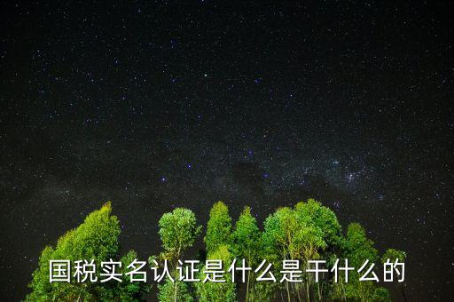 國稅實名制認(rèn)證要什么手續(xù)，國稅實名認(rèn)證是什么是干什么的