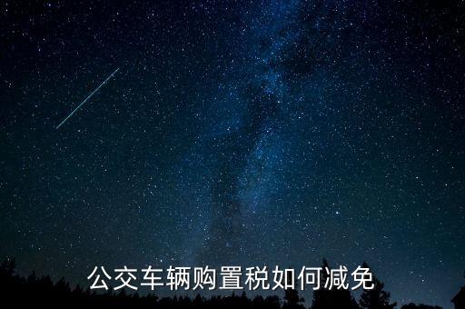 什么是公共汽電車輛，上海市公共汽電車乘車規(guī)則一共多少條
