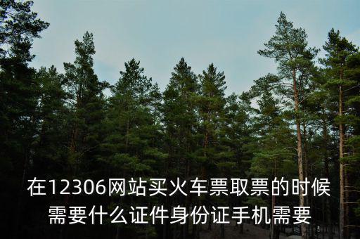 在12306網(wǎng)站買(mǎi)火車(chē)票取票的時(shí)候需要什么證件身份證手機(jī)需要