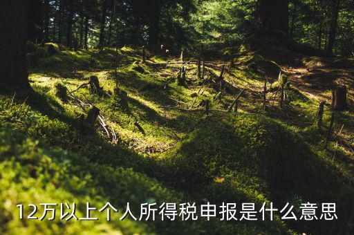 個稅12萬申報是什么意思，12萬以上個人所得稅申報是什么意思