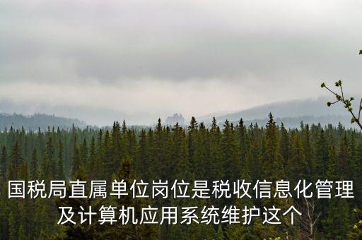 什么是國稅信息化，信息化在稅務(wù)管理中有什么作用