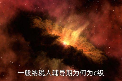 一般納稅人輔導(dǎo)期為何為c級(jí)