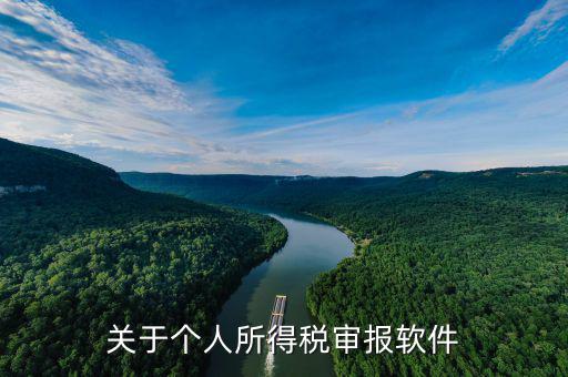 申報個稅的APP叫什么，申報個稅軟件