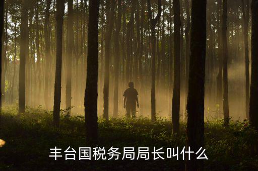 豐臺國稅務局局長叫什么