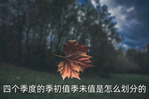 季初值和季末值是什么，四個季度的季初值季未值是怎么劃分的