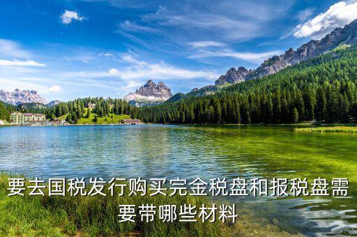 購買金稅盤要帶什么，購買增值稅發(fā)票系統(tǒng)金稅盤需帶什么資料