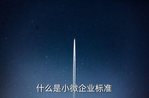 什么樣的標(biāo)準(zhǔn)是小薇企業(yè)，什么是小微企業(yè)標(biāo)準(zhǔn)
