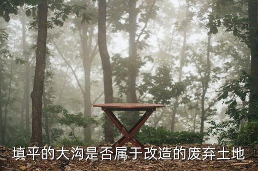 什么叫改造廢棄的土地，填平的大溝是否屬于改造的廢棄土地能否享受相應(yīng)的免稅政策