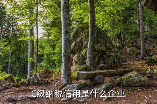 稅務(wù)等級(jí)c級(jí)是什么意思，申請(qǐng)一般納稅人abc類是什么意思