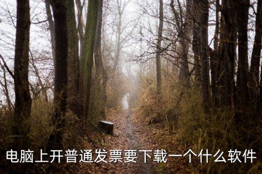 網(wǎng)絡(luò)開票需要下載什么軟件下載，電腦打發(fā)票是不是要下載一個(gè)什么軟件