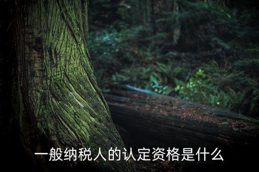 一般納稅人資格證是什么，請問一般納稅人應(yīng)有什么證