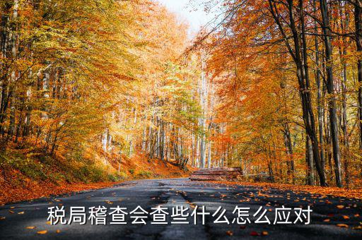 發(fā)票稽查查什么，稅局稽查會查些什么怎么應(yīng)對