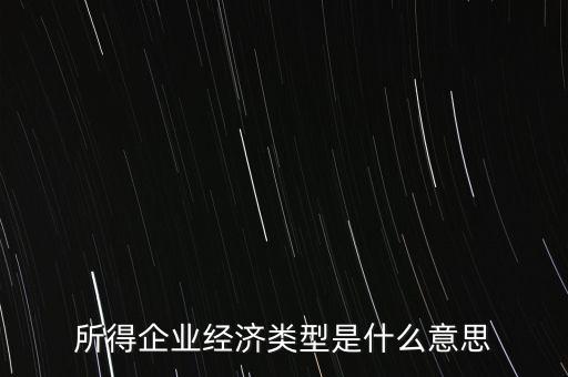 所得項目是什么意思，所得企業(yè)經(jīng)濟(jì)類型是什么意思