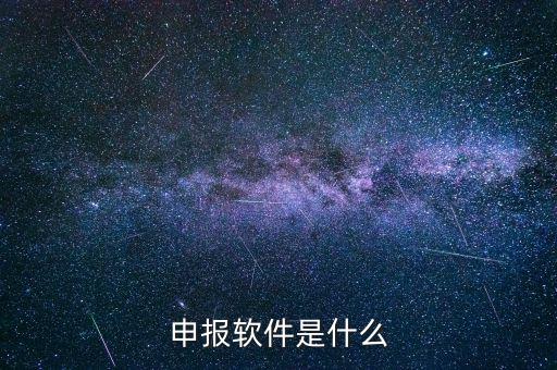 國稅申報軟件叫什么，申報軟件是什么