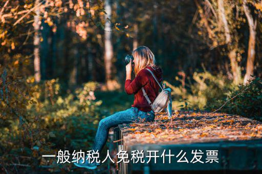 一般納稅人領(lǐng)什么票，一般納稅人免稅開什么發(fā)票