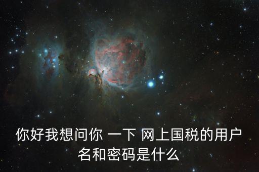 稅號(hào)和密碼是什么，國(guó)稅第一次網(wǎng)上申報(bào)的登陸密碼是什么