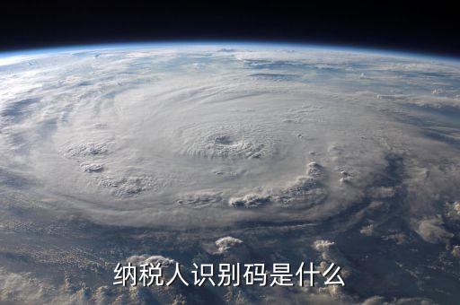 納銳人識(shí)別號(hào)是什么，納稅人識(shí)別碼是什么