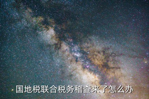 國地稅聯(lián)合稽查是什么意思，國地稅聯(lián)合稅費申報什么意思