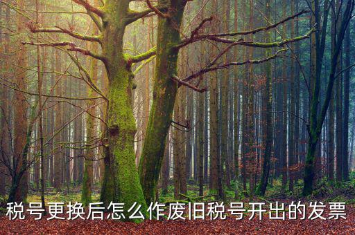變稅號(hào)需要做什么，稅號(hào)更換后怎么作廢舊稅號(hào)開(kāi)出的發(fā)票