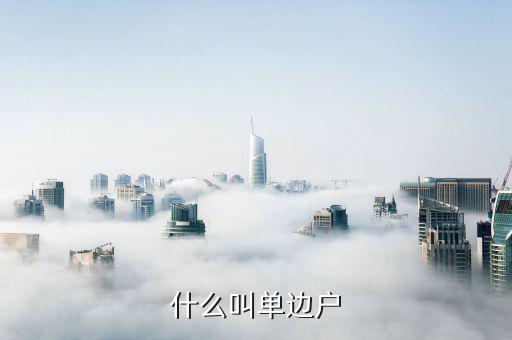 什么是國稅單邊戶，什么叫單邊戶