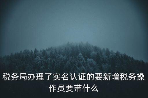 稅務(wù)局辦理了實名認證的要新增稅務(wù)操作員要帶什么