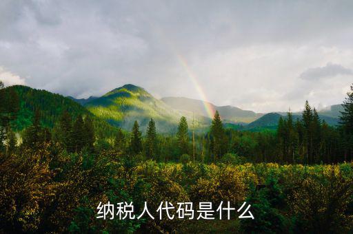 個(gè)人納稅人代碼是什么，納稅人代碼是什么