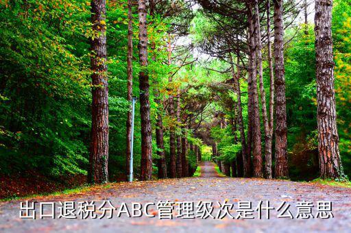 稅收級次是什么意思，稅收執(zhí)法的級次是什么