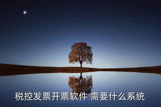 稅務(wù)開(kāi)票系統(tǒng)都有什么，什么是開(kāi)票系統(tǒng)小規(guī)模納稅人有裝開(kāi)票系統(tǒng)嗎在線等謝謝