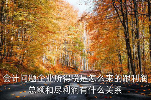 企業(yè)所得稅和什么有關(guān)，增值稅和企業(yè)所得稅有關(guān)系么