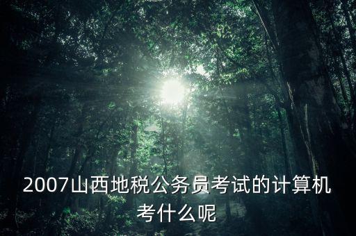 2007山西地稅公務員考試的計算機考什么呢