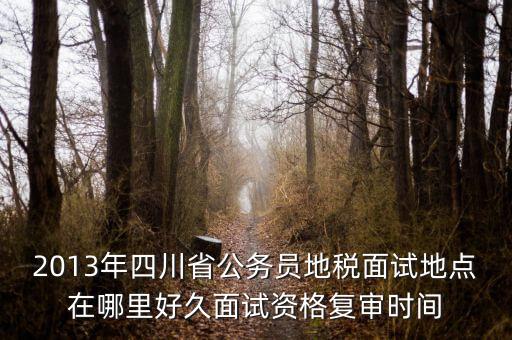 2016年四川地稅資格復審什么時候，大概什么時候資格復審啊