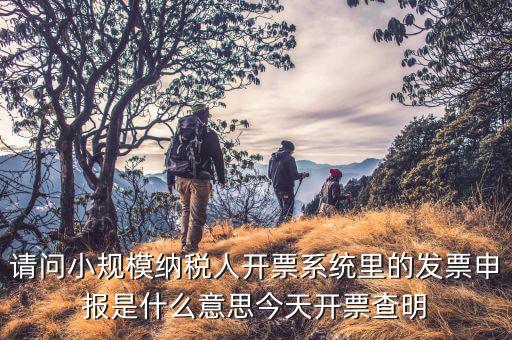 納稅人申報(bào)是什么意思，申報(bào)納稅是什么意思為什么取得營(yíng)業(yè)執(zhí)造后30天就申報(bào)還沒(méi)有銷售