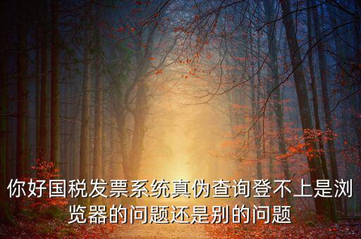 國稅登不上什么情況，為什么稅號密碼都對還是無法登錄國稅