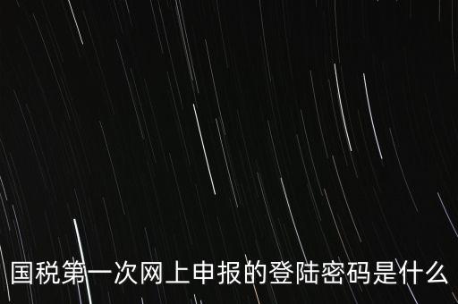 國稅的登錄密碼是什么，國稅第一次網(wǎng)上申報的登陸密碼是什么