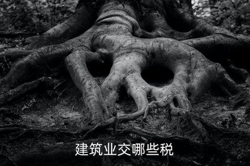 建筑設(shè)計(jì)交什么稅，建筑設(shè)計(jì)企業(yè)所得稅應(yīng)該交什么稅呀怎么抵扣