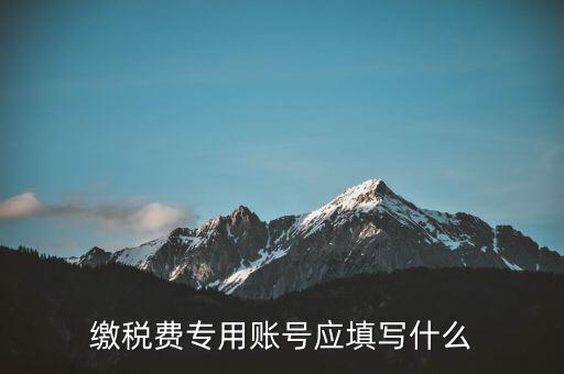 繳稅賬戶填什么，繳稅費(fèi)專用賬號應(yīng)填寫什么