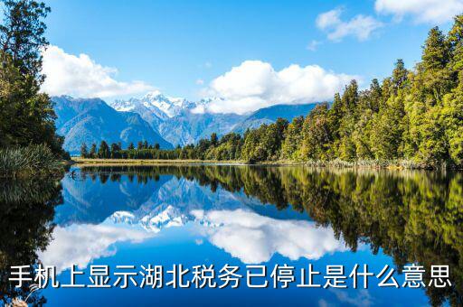國稅業(yè)務(wù)停用什么意思，手機上顯示湖北稅務(wù)已停止是什么意思