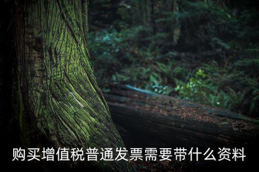 購(gòu)買(mǎi)增值稅普通發(fā)票需要帶什么資料