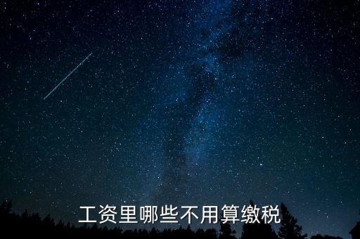 什么所得不用上稅，哪些類型的工資薪金所得不用納稅
