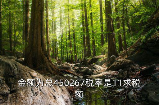 11 是什么稅率，招標(biāo)文件稅率為人工費(fèi)11是什么意思