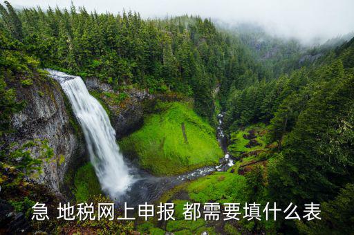 稅務(wù)申報(bào)表用什么填置，怎么填寫稅務(wù)申請(qǐng)表